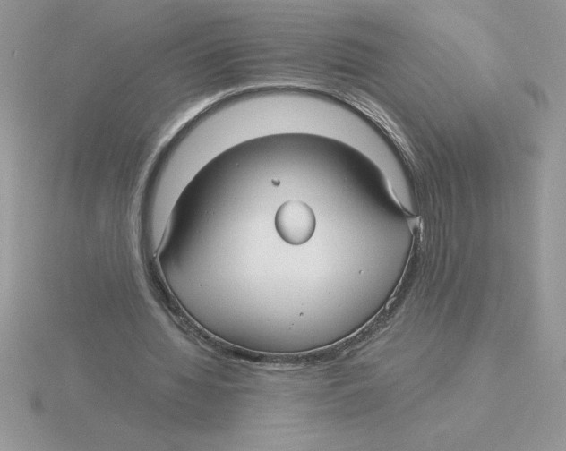 X0000115820436200912111254