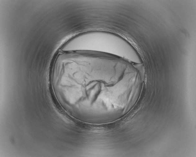 X0000115820438200912111254