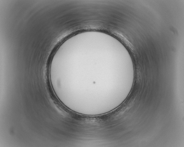 X0000115820439200912111255