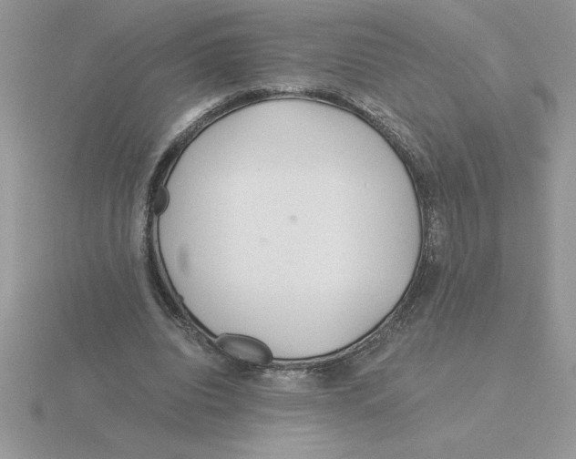 X0000115820440200912111255