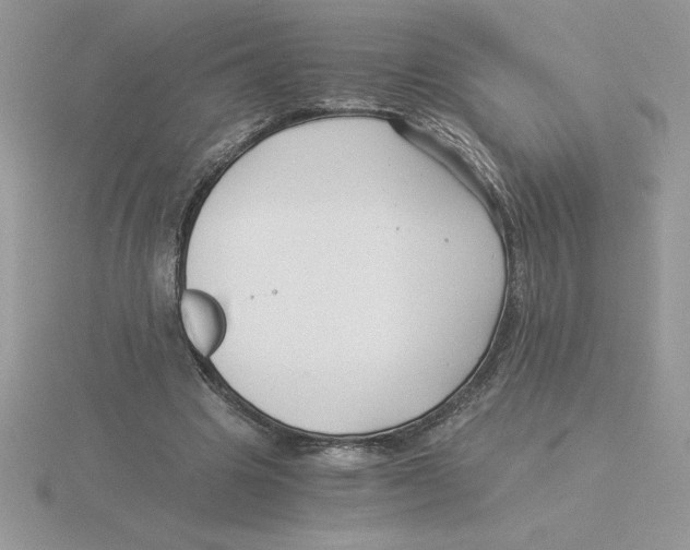 X0000115820441200912111255