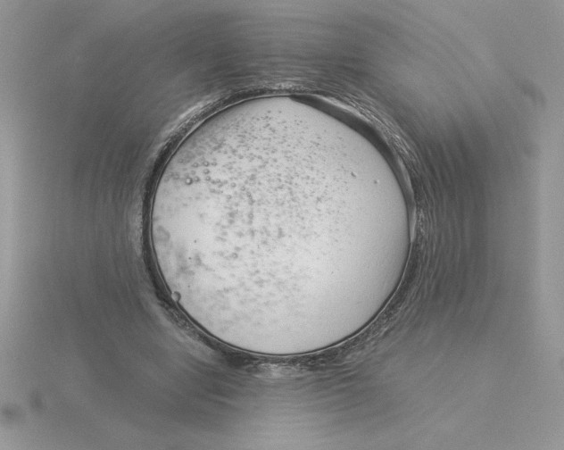 X0000115820442200912111255