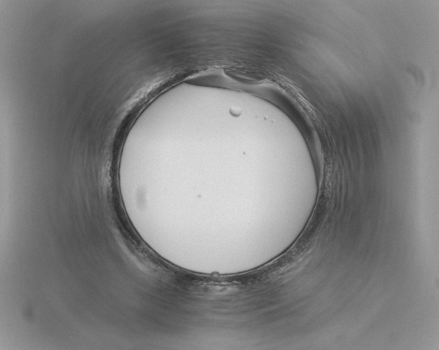 X0000115820443200912111255