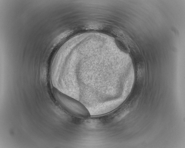 X0000115820444200912111255