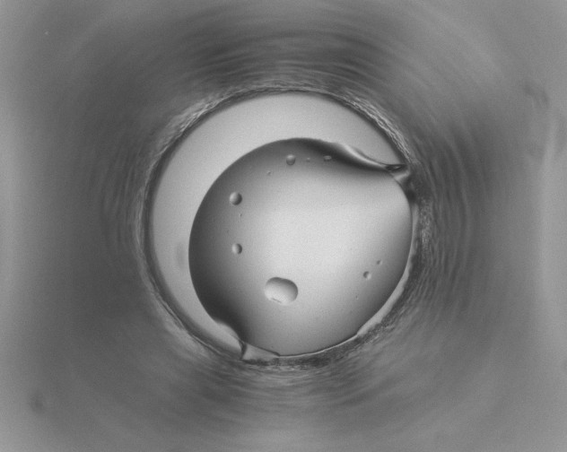 X0000115820445200912111255