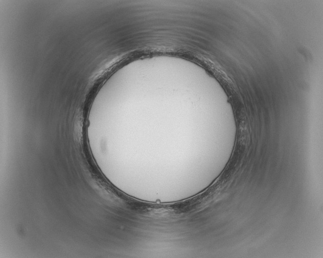 X0000115820446200912111255