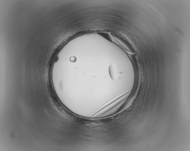 X0000115820447200912111255