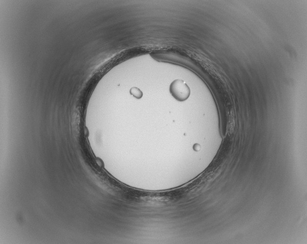 X0000115820448200912111255