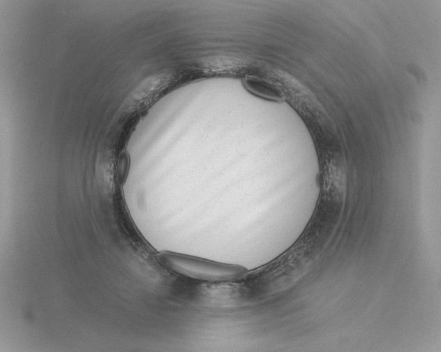 X0000115820452200912111255