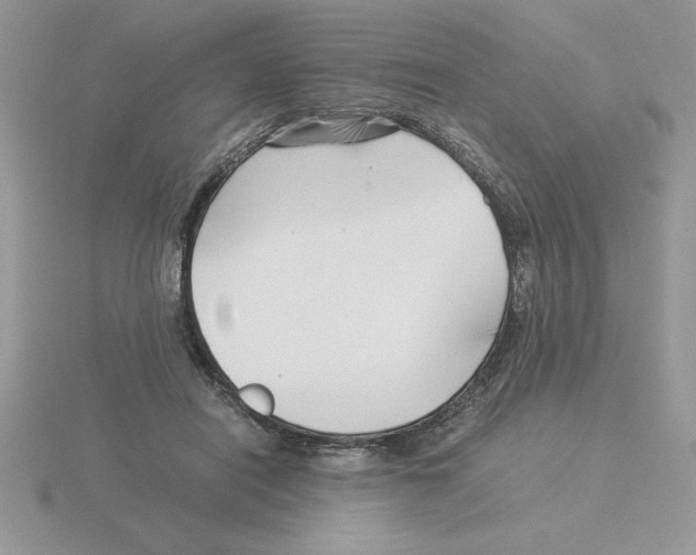 X0000115820454200912111255