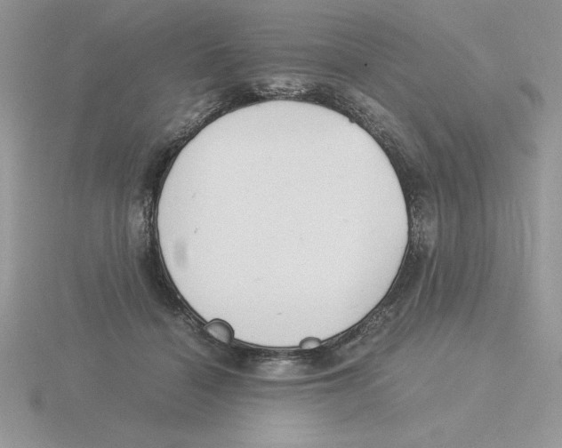 X0000115820460200912111255