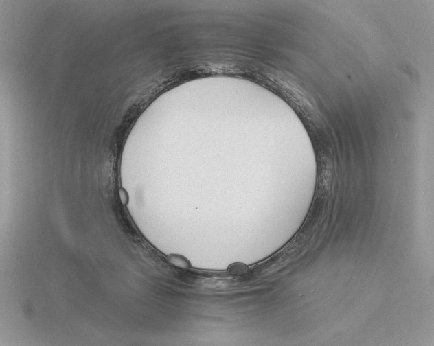 X0000115820461200912111255