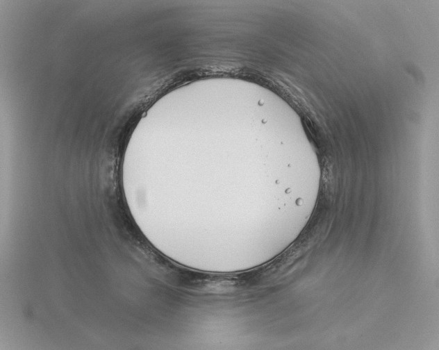 X0000115820462200912111255