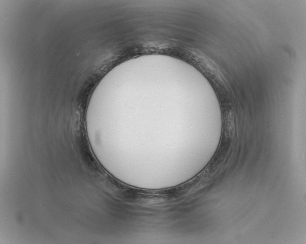 X0000115820463200912111255