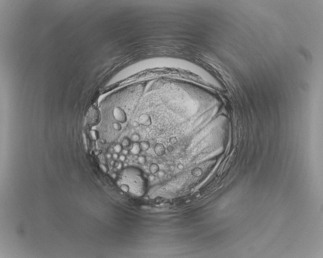 X0000115820467200912111255