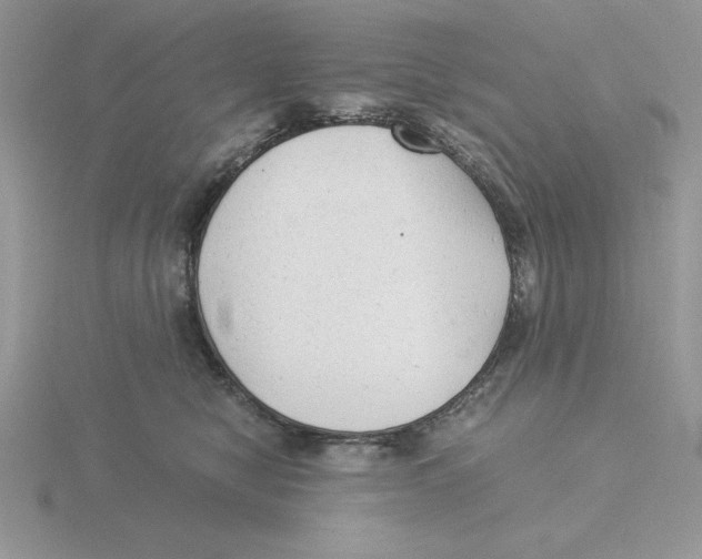 X0000115820470200912111255