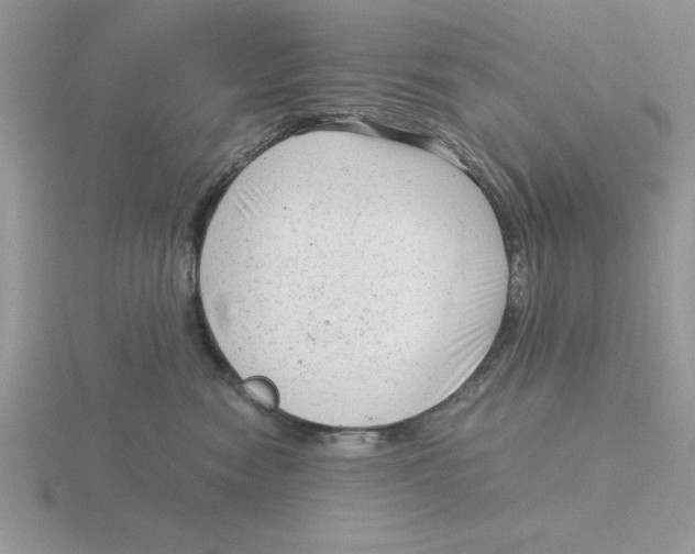 X0000115820474200912111255