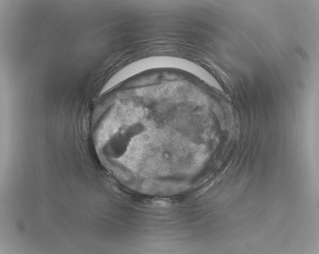 X0000115820475200912111255