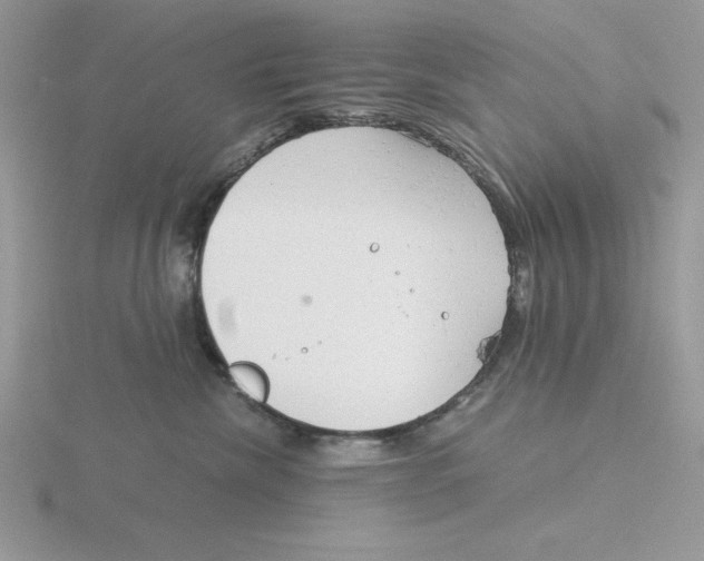 X0000115820476200912111255