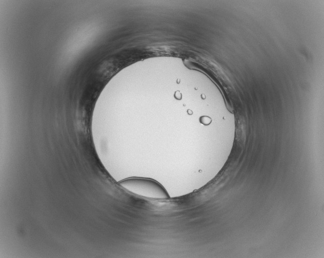 X0000115820477200912111255