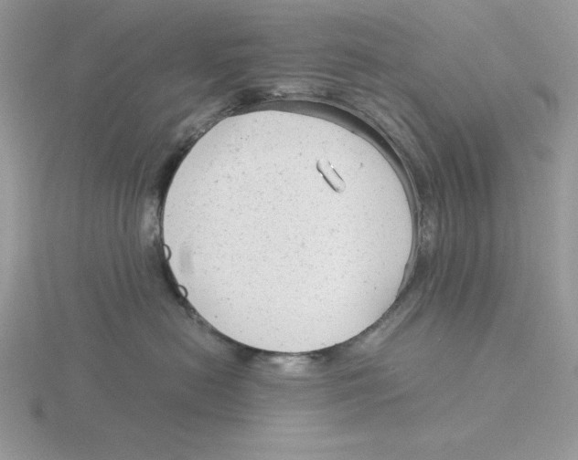 X0000115820478200912111255