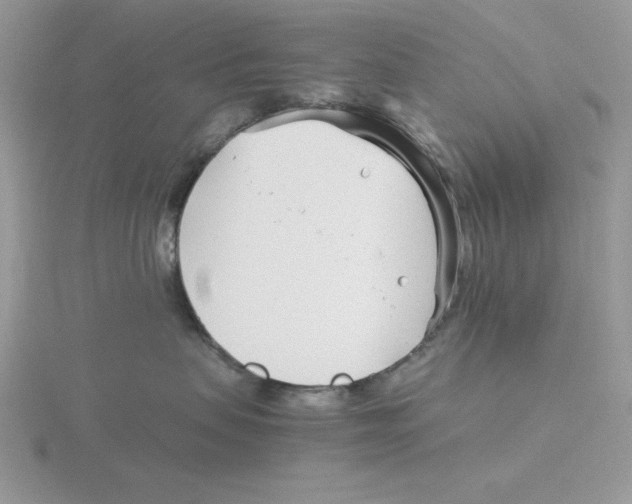 X0000115820479200912111255