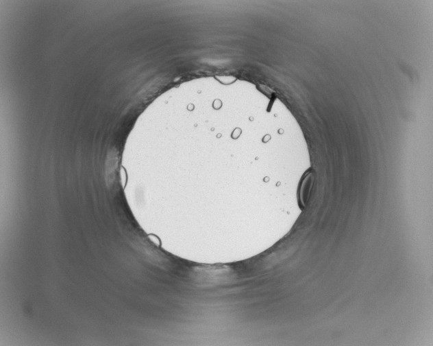 X0000115820480200912111255