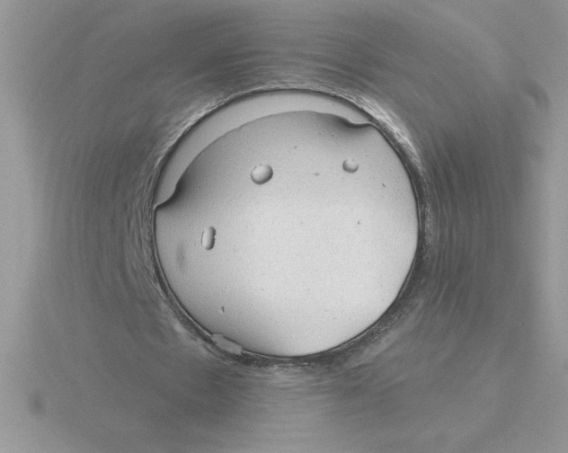 X0000115820481200912111254