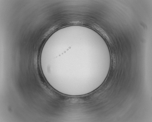 X0000115820482200912111254