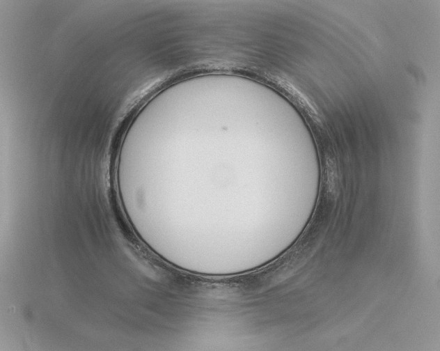 X0000115820486200912111254