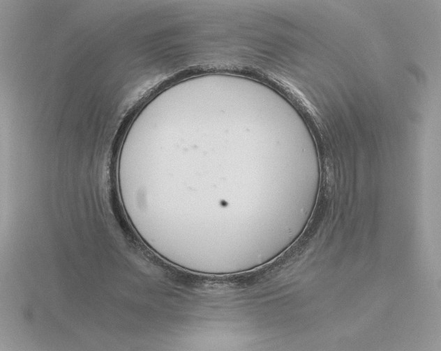 X0000115820487200912111254