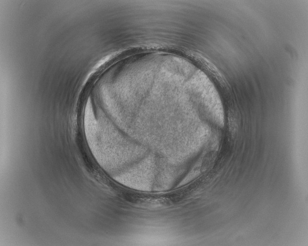 X0000115820488200912111254