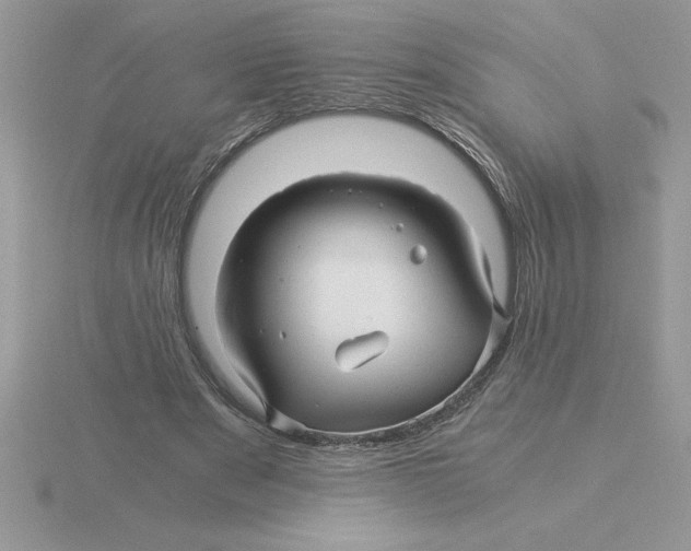 X0000115820489200912111254