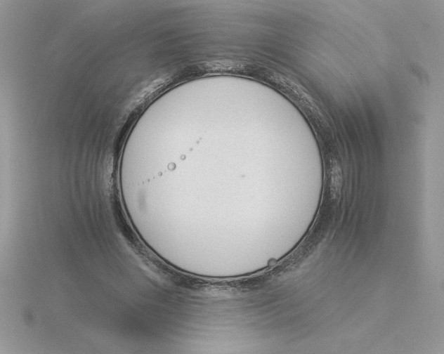 X0000115820490200912111254