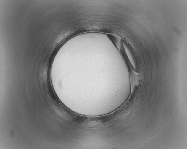 X0000115820491200912111254