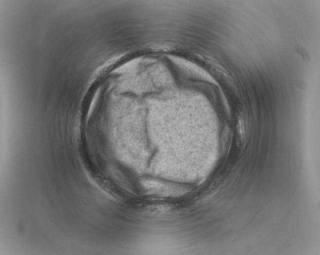 X0000115820492200912111254