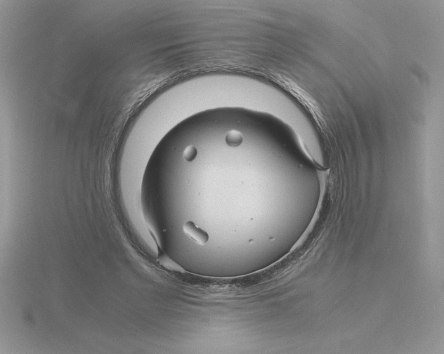 X0000115820493200912111254