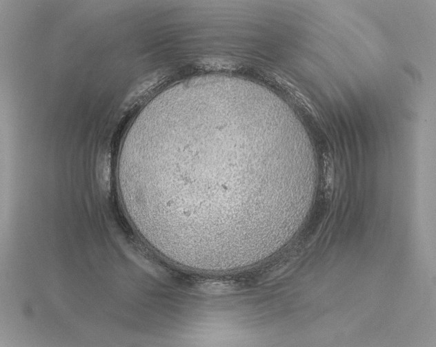 X0000115820494200912111254