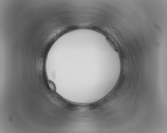 X0000115820495200912111254