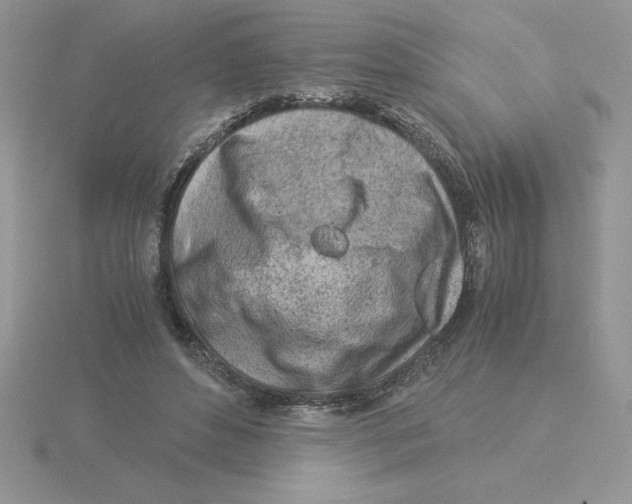 X0000115820496200912111254