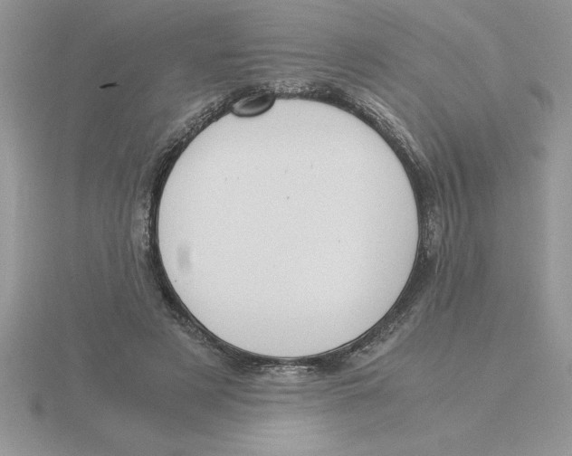 X0000115820497200912111254