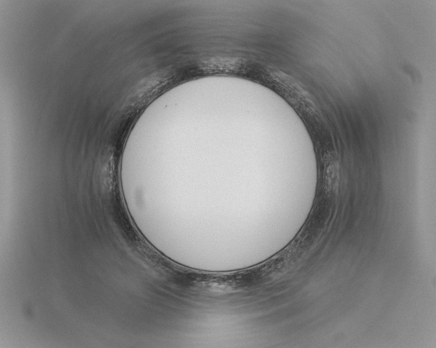 X0000115820498200912111254