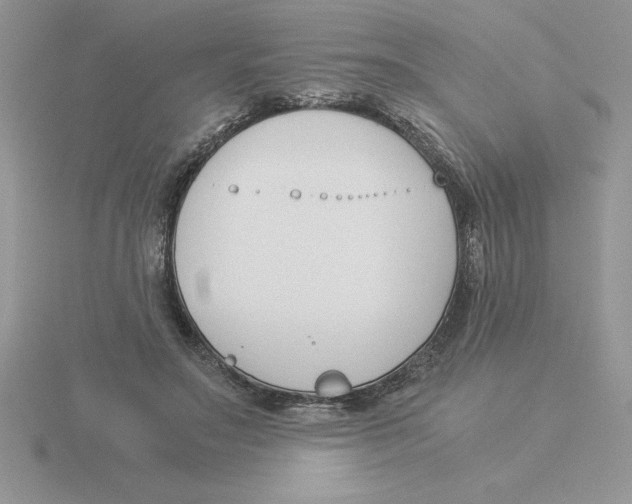 X0000115820499200912111254