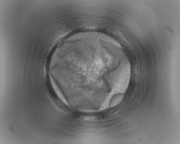 X0000115820500200912111254