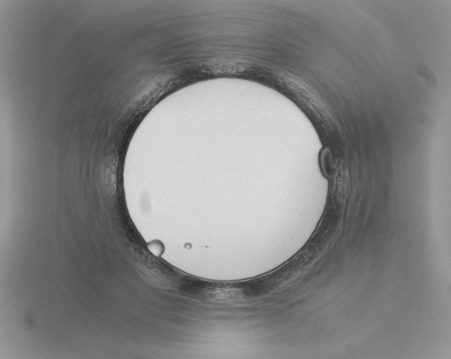 X0000115820501200912111254