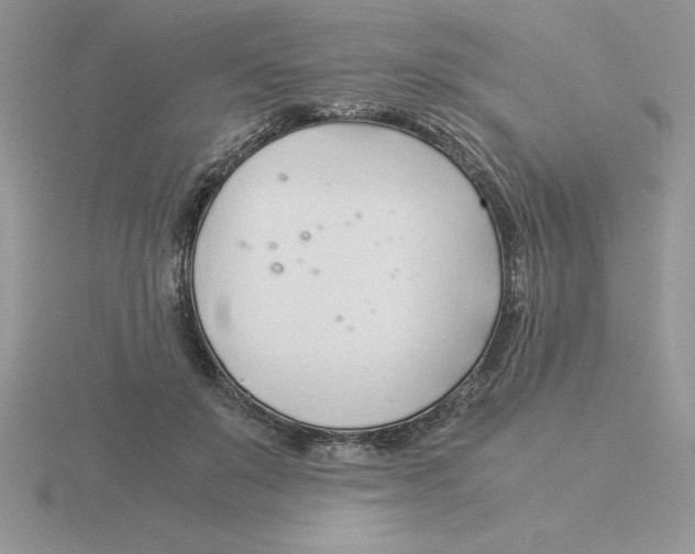 X0000115820503200912111254