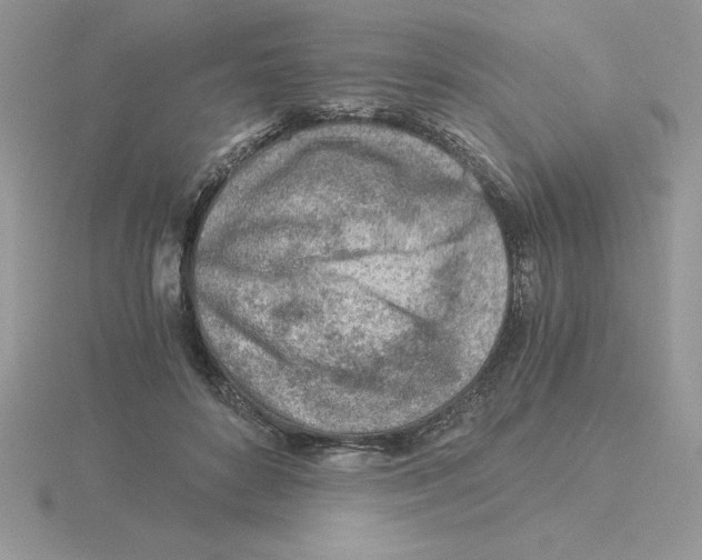 X0000115820504200912111254