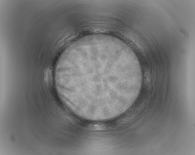 X0000115820506200912111254