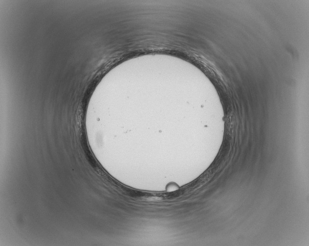 X0000115820509200912111254