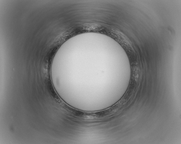 X0000115820510200912111254